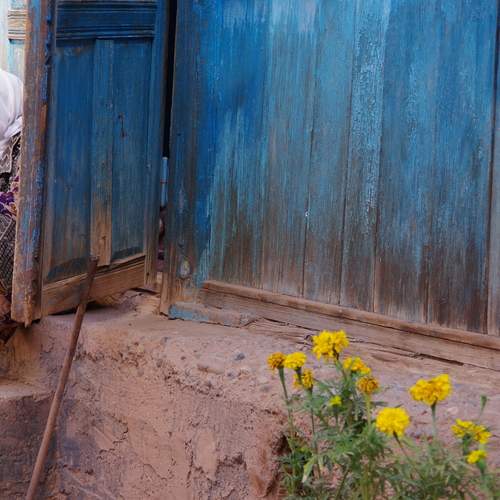 Photo #11825732