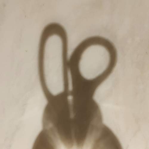 Photo #11825823