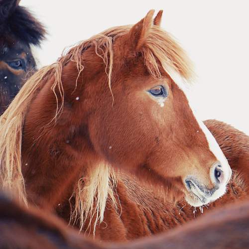 Photo #11825911