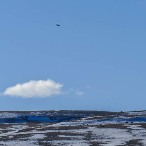 Photo #11825934