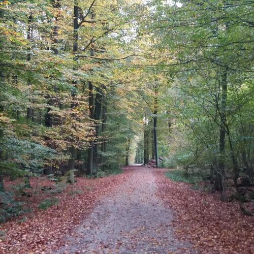 Photo #11825937
