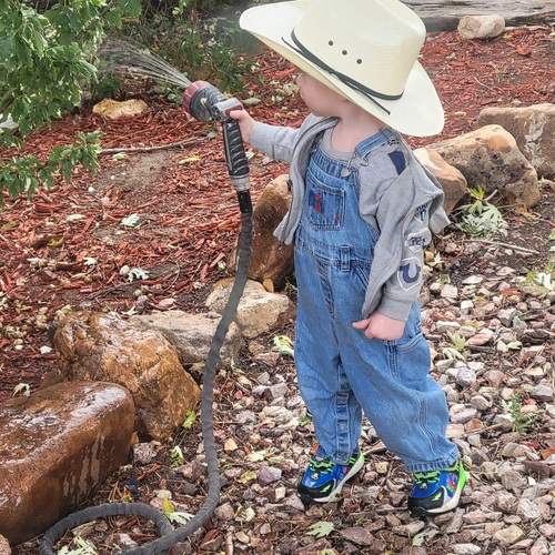 Photo #11825953