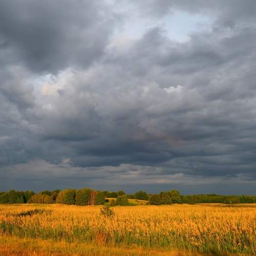 Photo #11826001