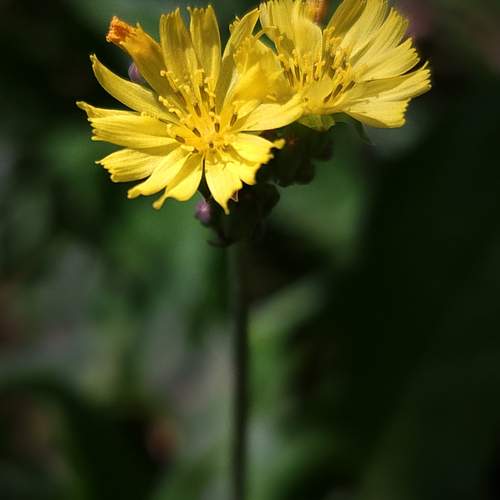 Photo #11826195