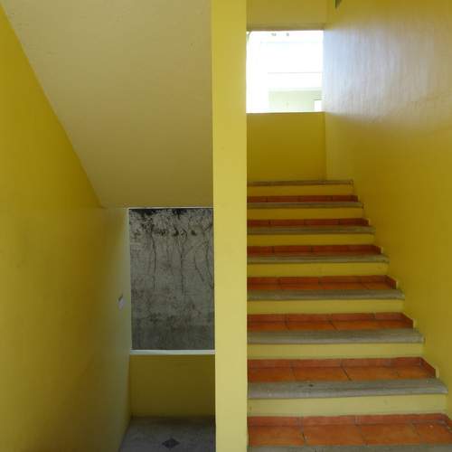 Photo #11826564