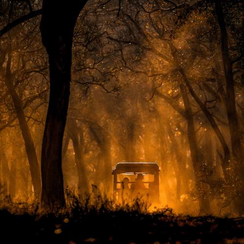 Photo #11826593