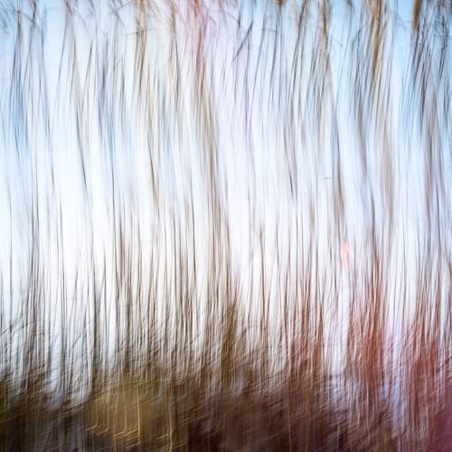 Photo #11826609
