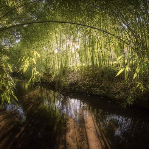 ....Through The Light....