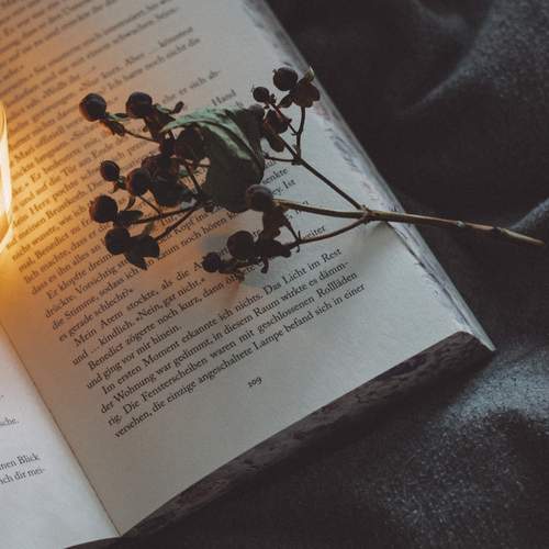 Photo #11827018