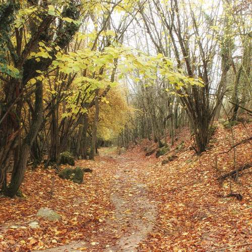 Photo #11827136