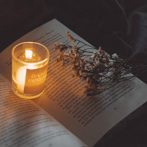 Photo #11827139