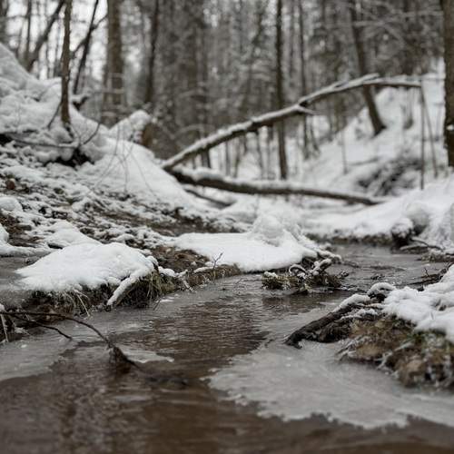 Photo #11827215