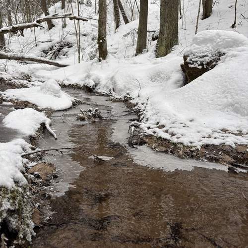 Photo #11827220