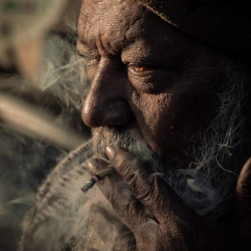 Photo #11827340