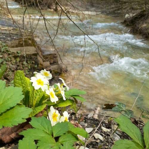 Photo #11827476