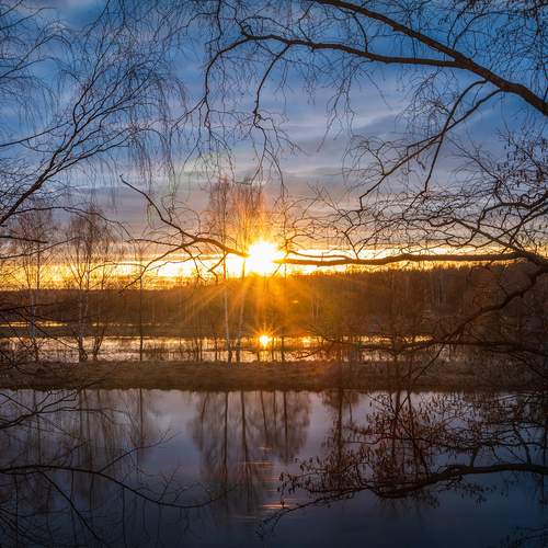 Photo #11827653