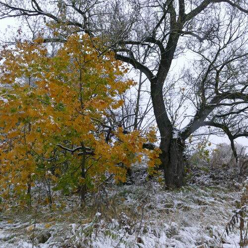 Photo #11827712