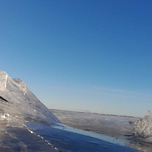 Photo #11827750