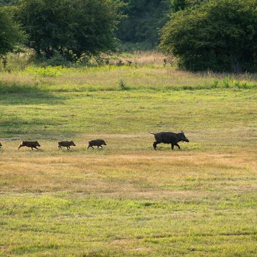 Photo #11827776