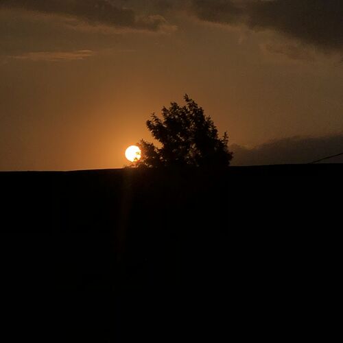 Photo #11827933