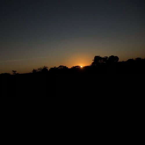 Photo #11827936