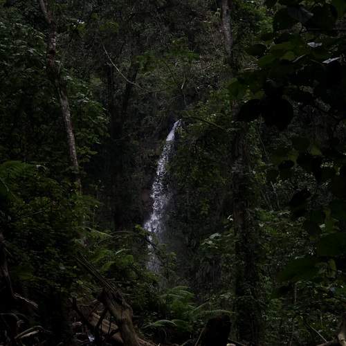 Photo #11827937