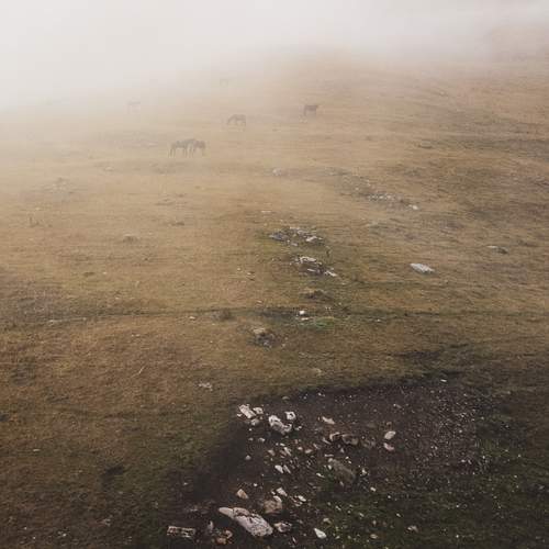 Фотография #11828225