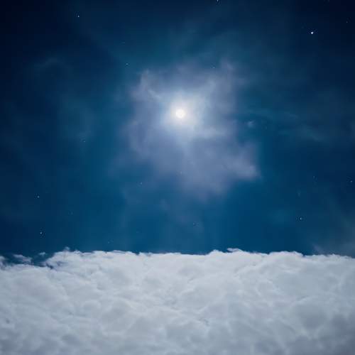 Photo #11828258