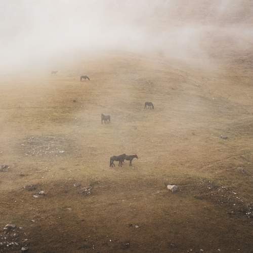 Фотография #11828284