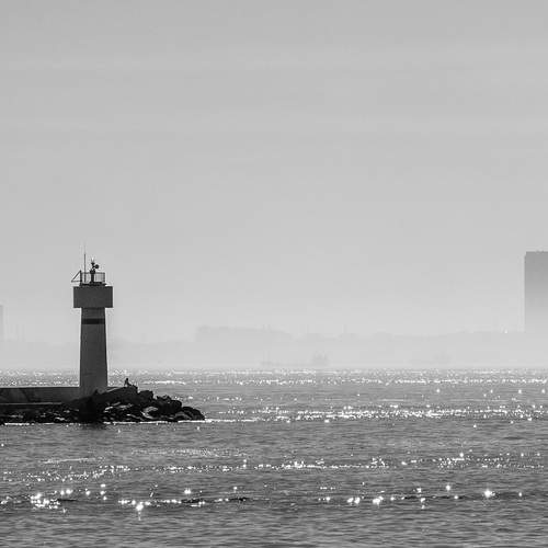 Фотография #11828307