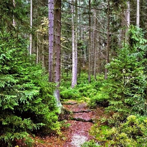 Photo #11828388
