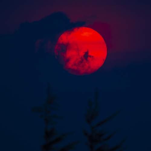 Photo #11828389