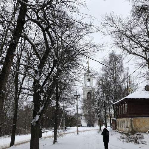 Photo #11828401
