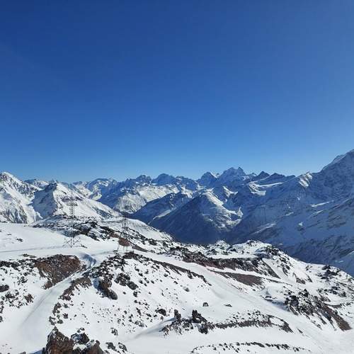 Photo #11828495