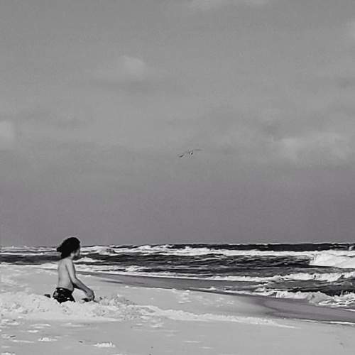 Photo #11828569