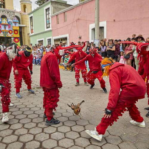 Фотография #11828659