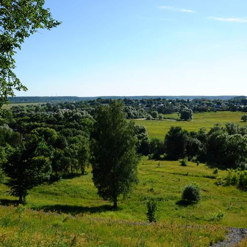 Photo #11828680
