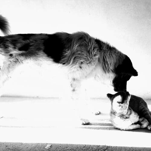 Photo #11828898
