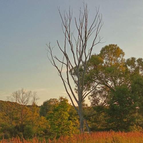 Photo #11828906