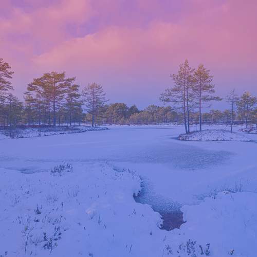 Photo #11829188