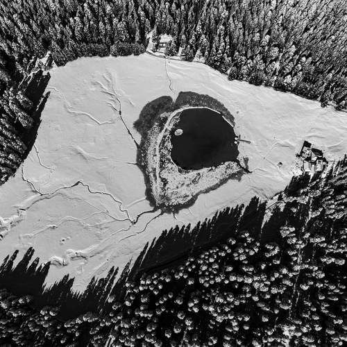 Bird’s eye