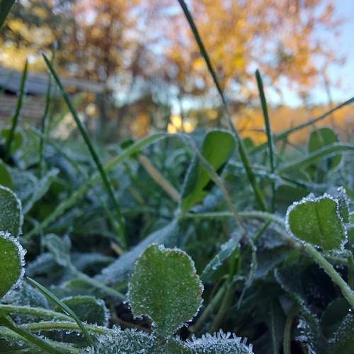 Photo #11829262
