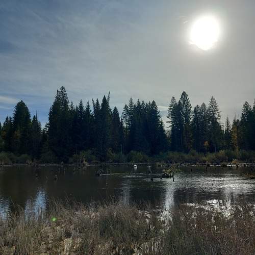 Photo #11829264