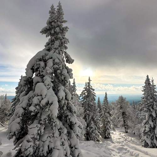Photo #11829265