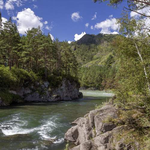 Фотография #11829283