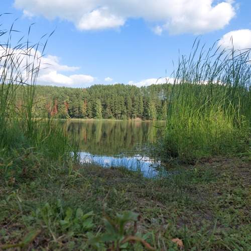 Photo #11829313