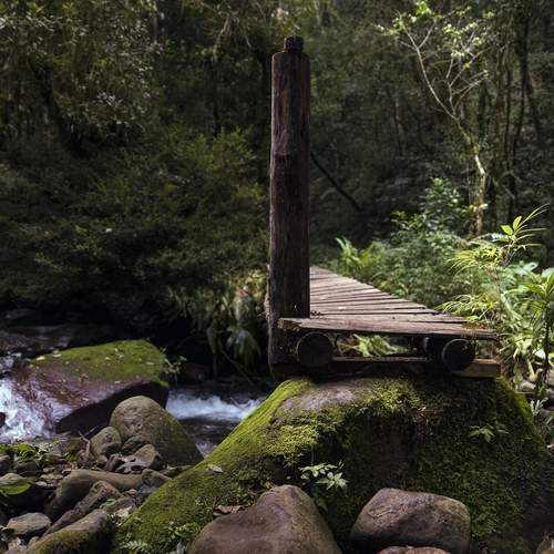 Photo #11829474