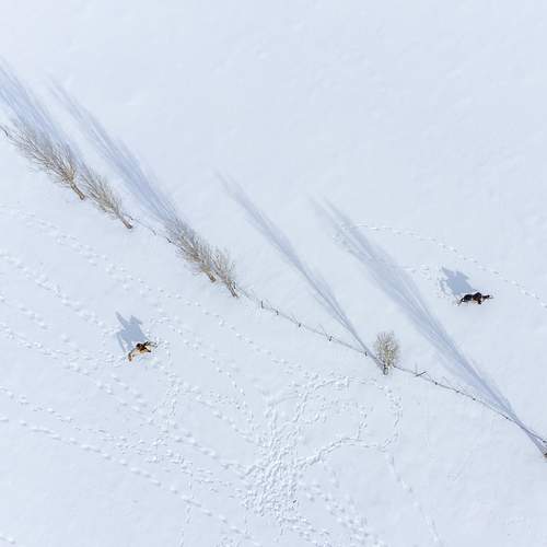 Фотография #11829537