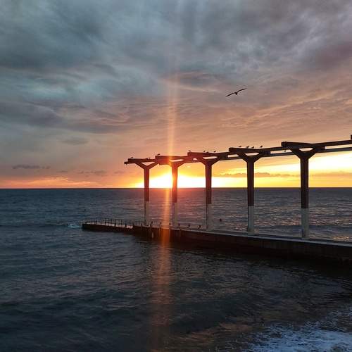 Photo #11829586