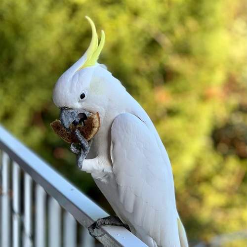 Photo #11829643